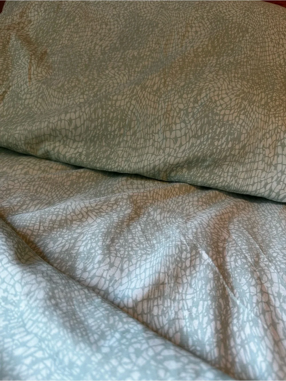 5 Items Steve Madden Sage Green Textured Full / Queen size Sheet Set Pillow